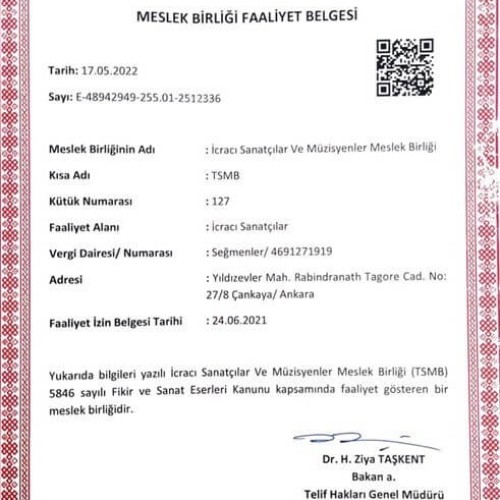 Ülkemizde İcracı Sanatçılar Dalında Kurulmuş Meslek Birliğiyiz